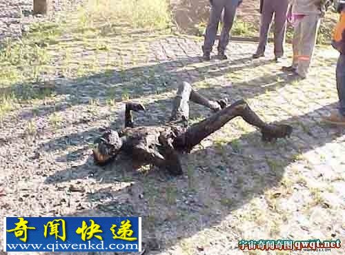 被雷劈死的男子瞬间变成焦炭