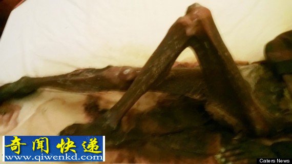 比利时老人不信丈夫离开人世 与丈夫腐烂尸体同寝一年