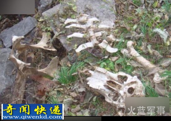 揭晓中国神秘黄河鬼棺的恐怖真相