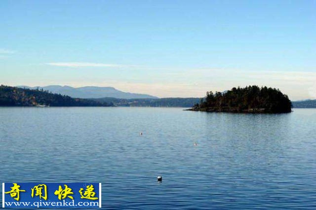 揭秘人类尸体被丢进深水的分解过程实验