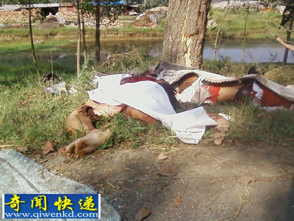 北京现代驾驶员操作失误撞上路边行道树 现代车解体4死1伤