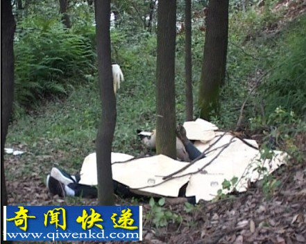 四川宜宾公园惊现双尸疑为“白塔山首富”