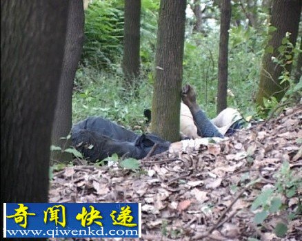 四川宜宾公园惊现双尸疑为“白塔山首富”