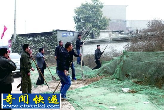 居民区附近两只藏獒追着路人跑 居民用铁锹将其抡死