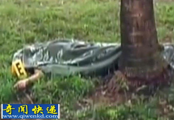 枪手枪杀危地马拉一家9口人 现场惨烈死者尸体凌乱