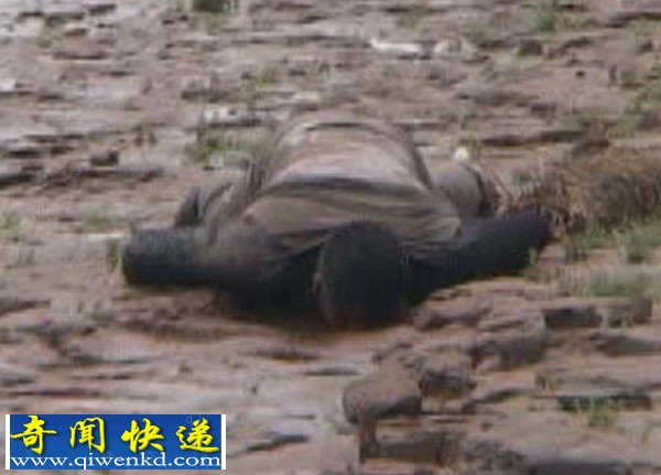 南京浦口江边现男尸 尸体已变形腐烂