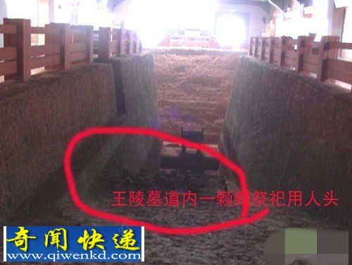 中国古墓中最恐惧的照片:奠基人牲活埋坑内