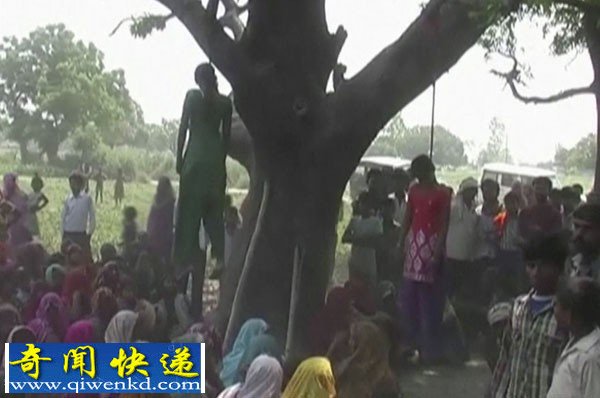 印度再发少女遭强奸被杀悬挂树上惨案(案发现场组图)