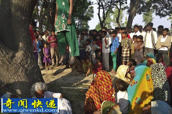 印度再发少女遭强奸被杀悬挂树上惨案(案发现场组图)