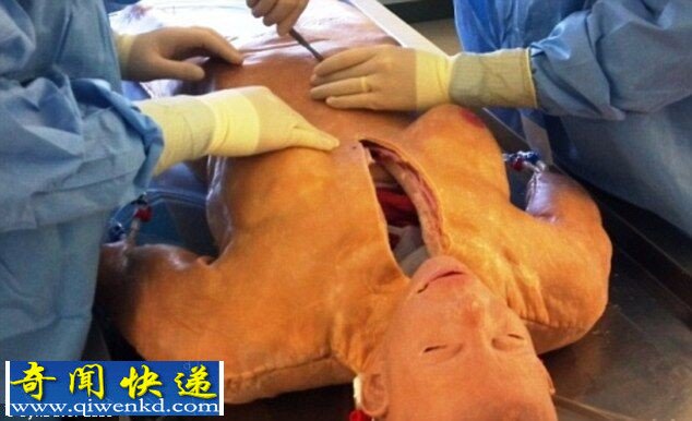 美研发逼真医用尸体模型 会流血能呼吸(重口味组图)