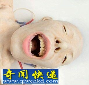 美研发逼真医用尸体模型 会流血能呼吸(重口味组图)