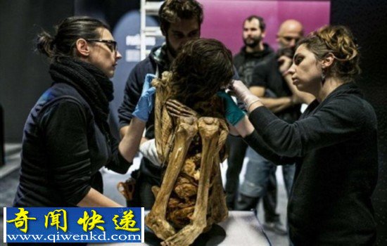 法国博物馆展出千年干尸:女尸全身蜷缩好诡异
