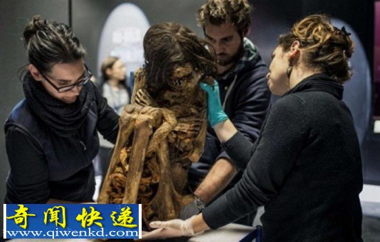 法国博物馆展出千年干尸:女尸全身蜷缩好诡异