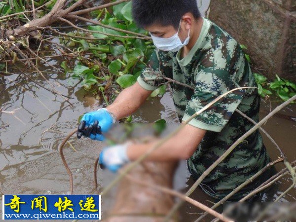 四川一对爷孙遇涨潮捞虾失踪溺 三日后打捞已成腐尸
