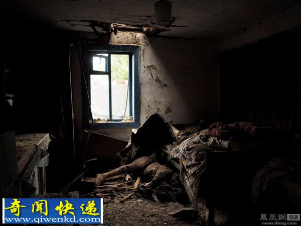 马航MH17遇难者遗体砸进卧室田野到处都是遇难者遗体