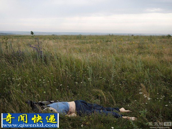 马航MH17遇难者遗体砸进卧室田野到处都是遇难者遗体