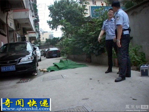 南京独居大妈思念亡夫跳楼自杀吓坏邻居