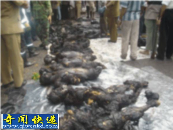 国外校车与货车相撞起火 一车小孩被活活烧死