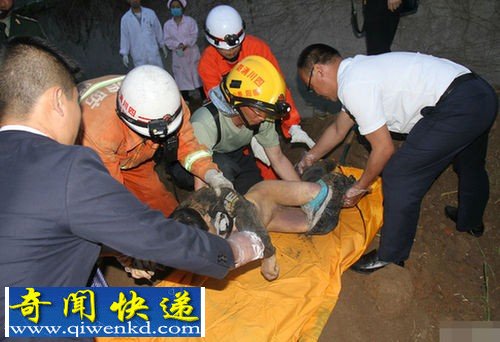 10岁男童进工地解手被埋身亡现场组图