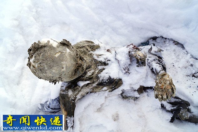 奥里萨巴山发现失踪55年登山者尸体早已变成干尸