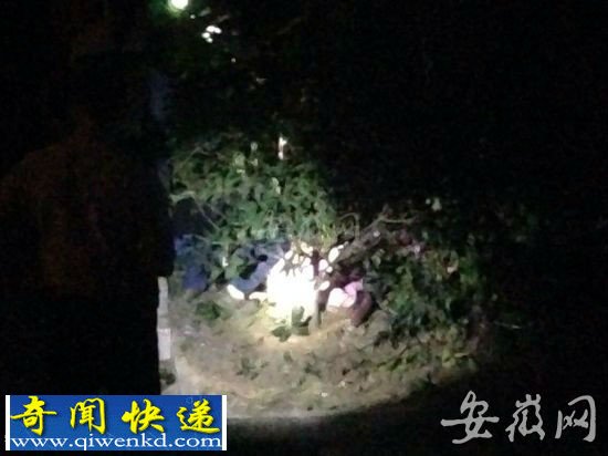 合肥市蜀山区:孕妇疑患抑郁症临产前跳楼自杀腹中双胞胎丧命