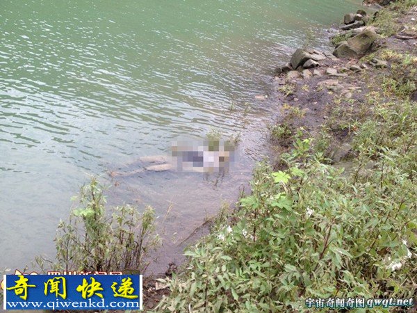 成都男老师与家人争吵后离家出走 尸体在水库被发现疑自杀