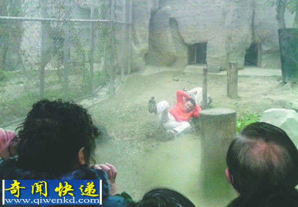成都:男子翻入动物园老虎圈被白虎拖行撕咬仍拿笔作画