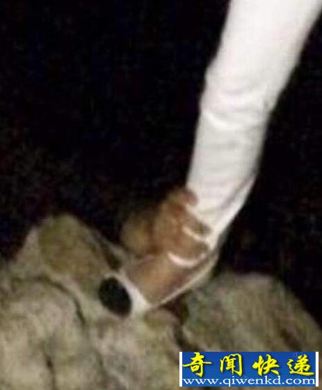 û뵽ĵƬ ҽž