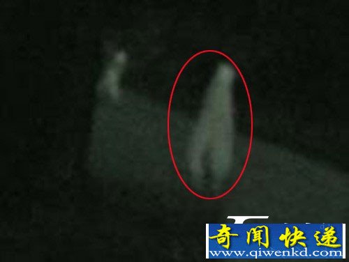 美国老人拍到只有两条腿和一个头的“外星人”