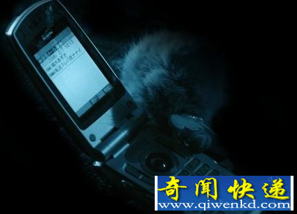 ˣŮȥݵ绰˽