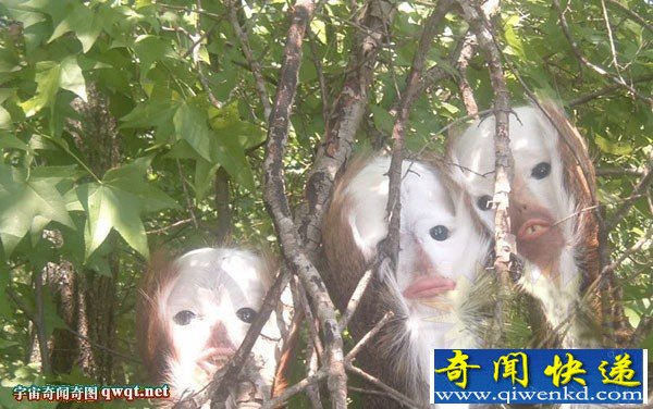  Ͱɫëʲô