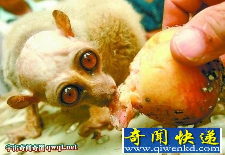 ץסĲ ǹһ