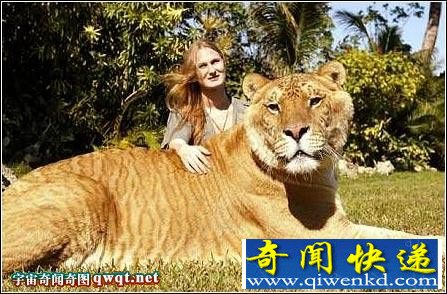 ޴ӽʨ س500