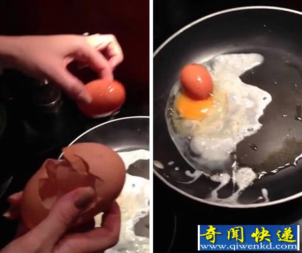 母鸡生下蛋中蛋 真正的巨无霸鸡蛋