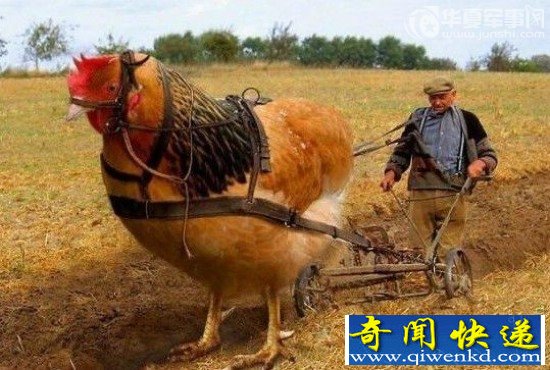 ţľͼ Ǽδж