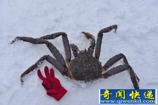 Ų͵з ѷĳֿɴ󱥿ڸ
