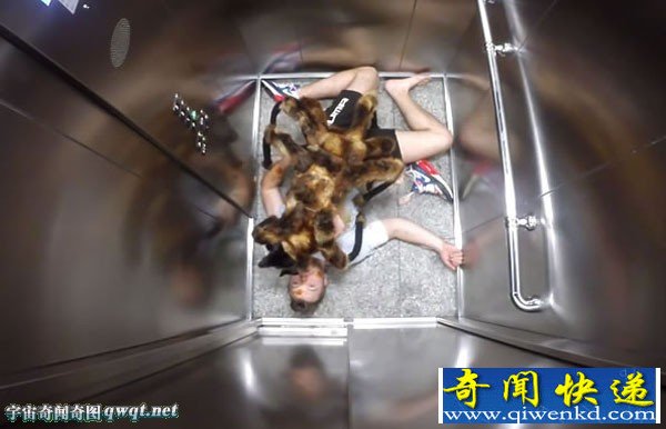 恶作剧:波兰男子将自己家扮成“蜘蛛狗”