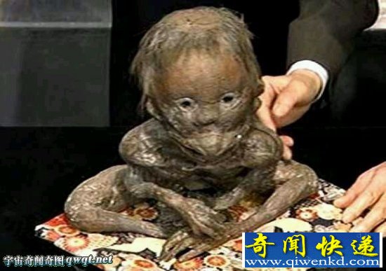 组图揭秘传说和现实中的18大怪物怪兽:中国真龙标本