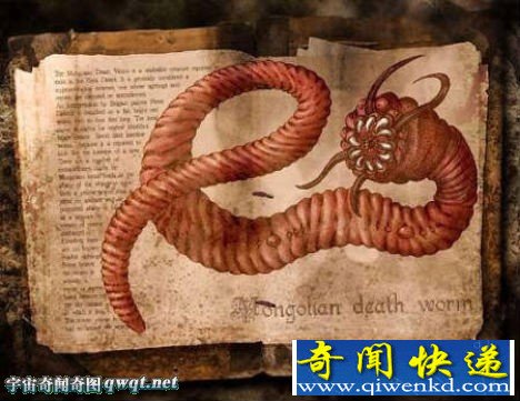 组图揭秘传说和现实中的18大怪物怪兽:中国真龙标本