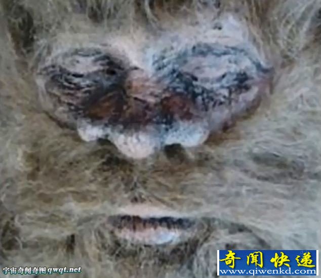 美国男子自称用猪排骨诱杀