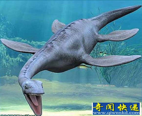 探索史前十二大深海怪物:巨型蛇颈龙体长12米