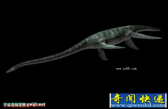 探索史前十二大深海怪物:巨型蛇颈龙体长12米