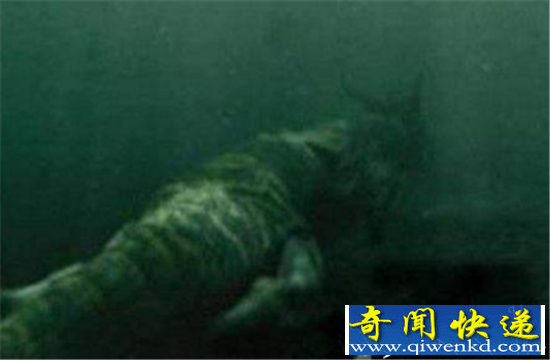 真龙现身引争议 98年洪水冲出龙尸是真是假?