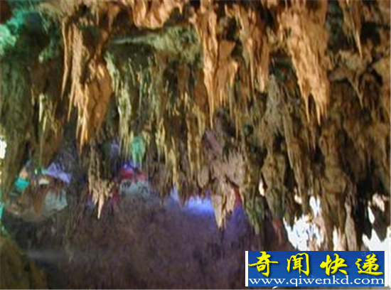 真龙现身引争议 98年洪水冲出龙尸是真是假?