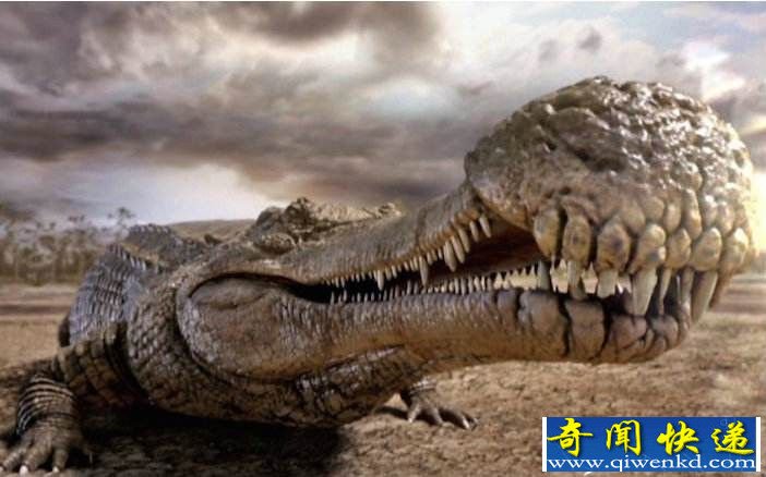 盘点史前巨型怪兽 魔鬼蛙巨蜘蛛吃恐龙史前令人惊叹不已!