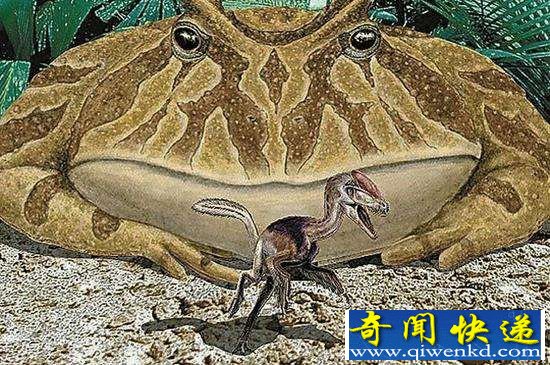 盘点史前巨型怪兽 魔鬼蛙巨蜘蛛吃恐龙史前令人惊叹不已!