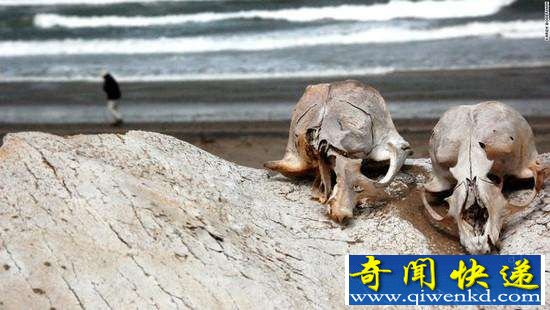 昆仑山地狱之门真相揭秘 死亡谷直通地狱让人不寒而栗
