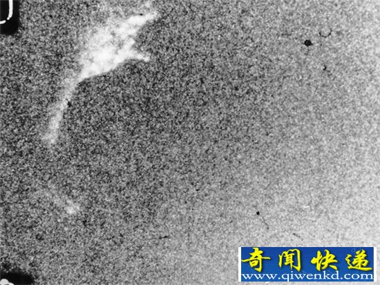尼斯湖水怪真相揭秘 尼斯湖水底隐藏巨大沟壑或生活远古巨兽