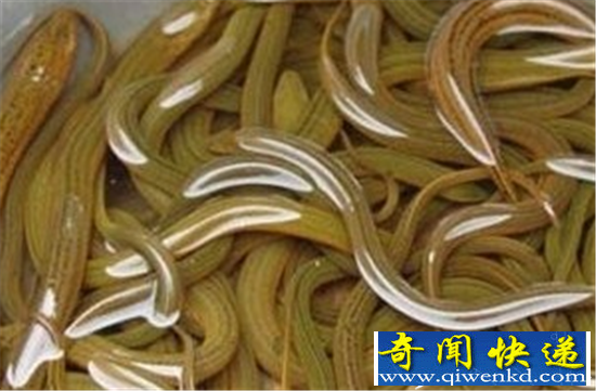 �Ŵ�������� �������Ů��������ֱײ̫����