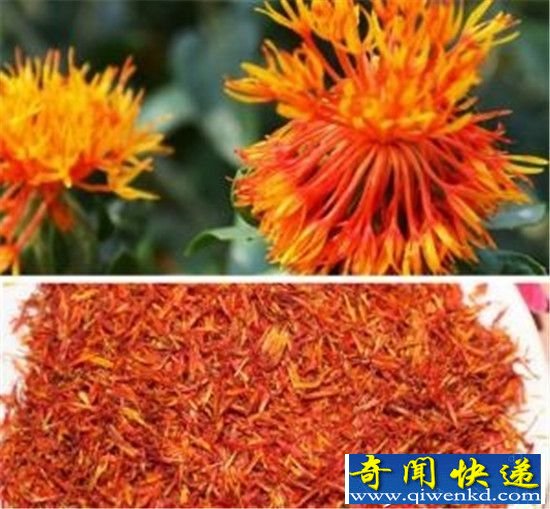 �Ŵ�Ů�ӱ��д���أ���Щ��Ĺ�����